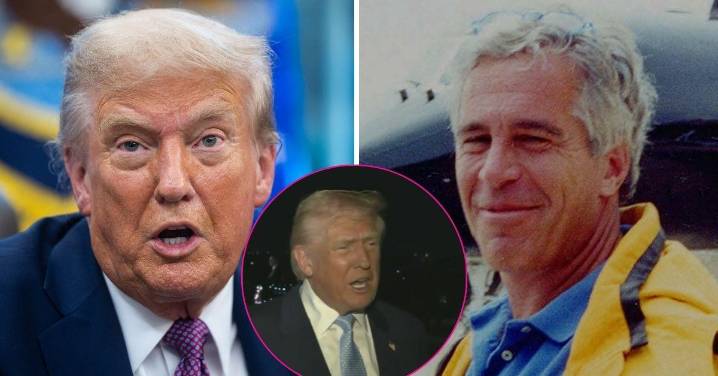 Donald Trump Refuses to Answer Questions About Epstein Files as He Yells at 'Terrible' Reporter: Watch