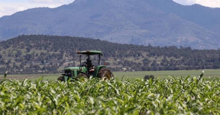Alerta CNC Colima sobre el deterioro de las políticas públicas y la falta de apoyos al campo