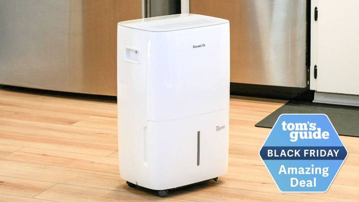 I just bought a dehumidifier in the Black Friday sales — these are the 5 deals I recommend, with up to 48% off