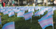 Hundreds of transgender pride flags pulled from memorial on Boston Common
