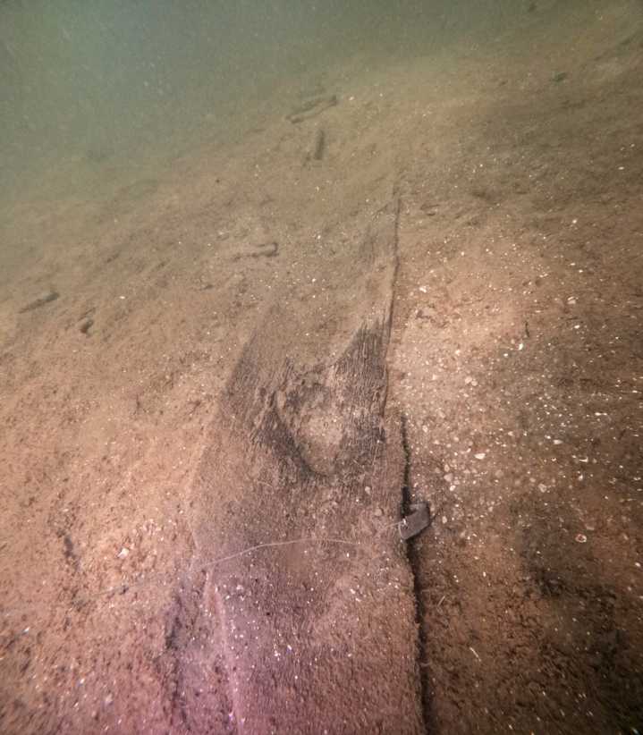 Wisconsin archaeologists identify 16 ancient canoes in a prehistoric lake ‘parking lot’