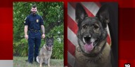 Willoughby Hills Police Department mourns sudden passing of ‘invaluable’ K