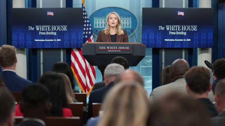 ICE detains mother of Leavitt’s nephew