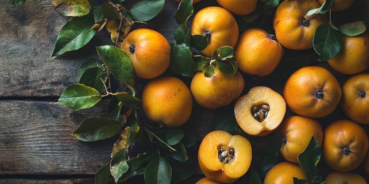 Cuáles son los beneficios del licuado de níspero