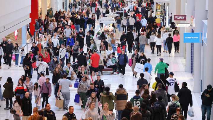 Shoppers spend billions on Black Friday to snag holiday deals, despite wider economic uncertainty
