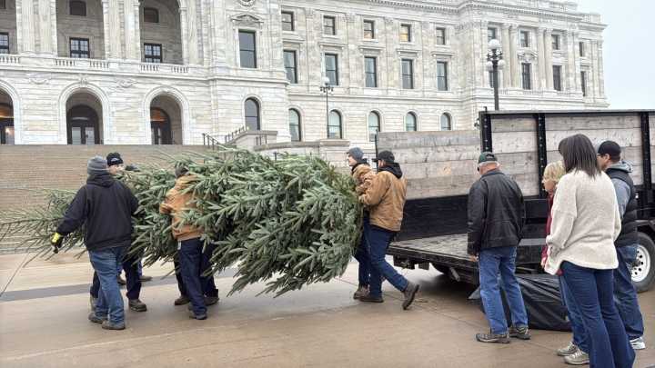 Turck’s Trees of Litchfield, Minnesota, provides 2025 Capitol Christmas tree