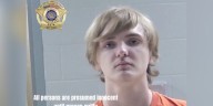 Mississippi 18-year-old arrested for indecent behavior with Livingston Parish juvenile, deputies say