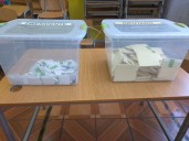 Resultados Elecciones 2025 en Chile: ¿Quiénes son los diputados electos en O'Higgins?