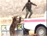 Viral video: Ranger frees angry bear; what happens next will leave you stunned!