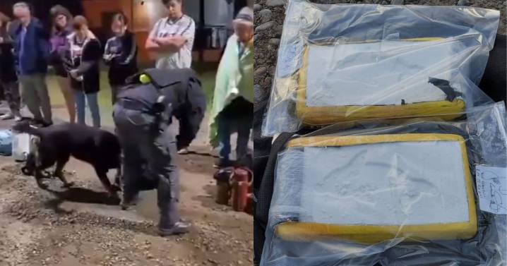 Cayó con dos kilos de cocaína en Río Colorado y el caso llegó a juicio en Roca: qué dijeron en los alegatos