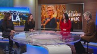 Jane Lynch talks 'Celebrity Weakest Link'