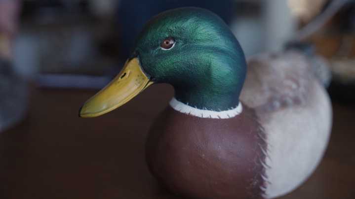 A lifetime of loving wildlife inspired an Astoria man's wood carvings