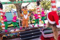 ¡Vive la diversión! Black Friday con descuentos imperdibles en LEGOLAND, SEA LIFE y más