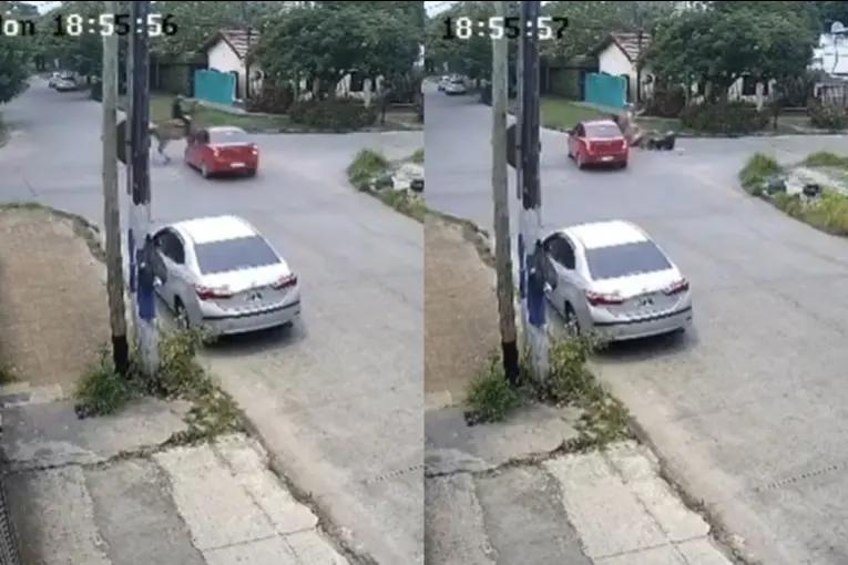 Hombre iba a caballo, lo atropellaron y sufrió fractura de cadera: el conductor huyó