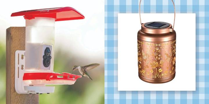 The 10 Most Perfect Gifts for Hummingbird Fans in 2025