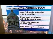 Senate Advances Plan to End US Government Shutdown