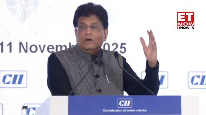 ‘We will pursue…’ - Piyush Goyal’s BIG statement on visa on arrival for visitors from US, other countries for THIS facility