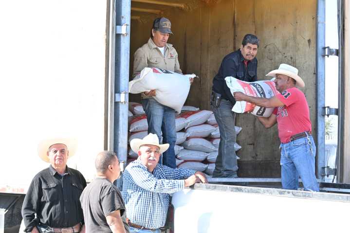 Sari Pérez respalda al campo con alimento pecuario en ejidos de Frontera