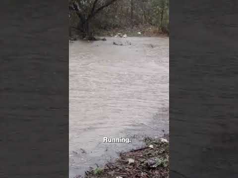 Central Texas Hit by Dangerous Floodwaters After More Than a Foot of Rain