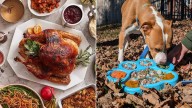 Clifton restaurant, Cincinnati animal shelter teaming up for annual Thanksgiving meal