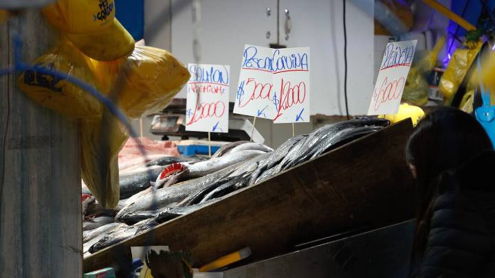 Operativo en el Terminal Pesquero dejó 22 detenidos: Fiscalía y PDI investigan estructuras criminales y robo de salmón