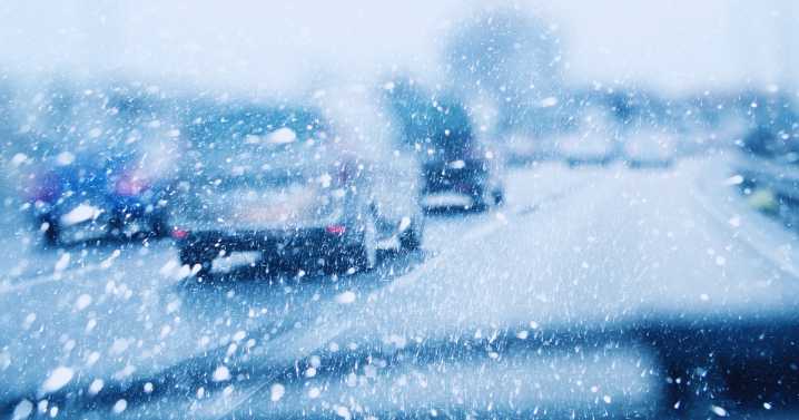 PHOTOS: Central Illinois sees first winter storm of season 11