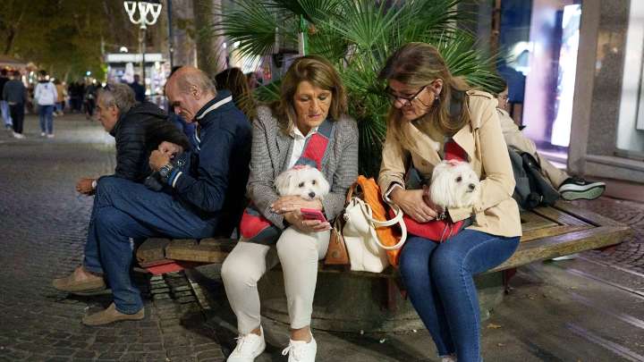 Town in Italy considers hitting tourists with $2 daily dog tax as critics push back