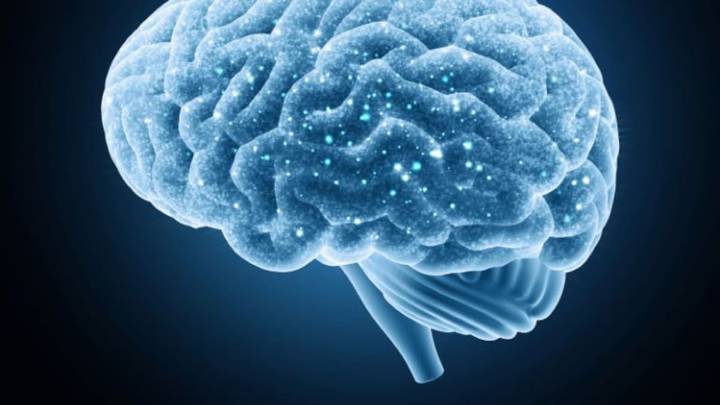 Tu cerebro tiene cinco vidas y cambia cuando pasas por estas cuatro edades