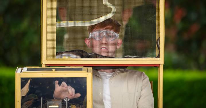 I'm A Celebrity first look at gruesome trials as stars battle it out to win luxury beds and steak in camp