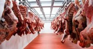 Afirman que el precio de la carne seguirá en alza