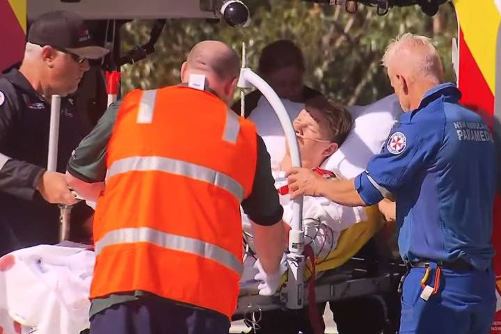 Man, 25, Risked His Life to Rescue Girlfriend During Fatal Shark Attack