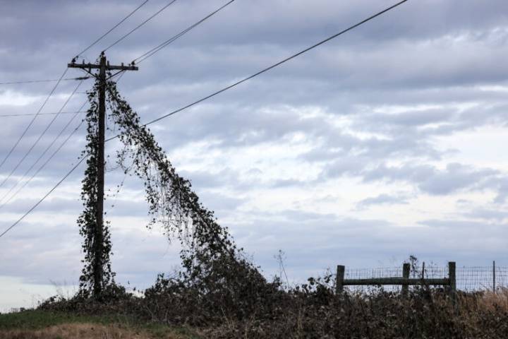 Holly Springs sues PSC for ‘unlawful authority’ over power issues