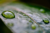 Strong storm brings rain and possible thunderstorms to Portland