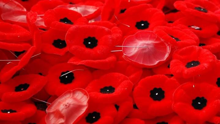 Mennonite Man Keeps Reusing the Same Poppy He Bought 30 Years Ago