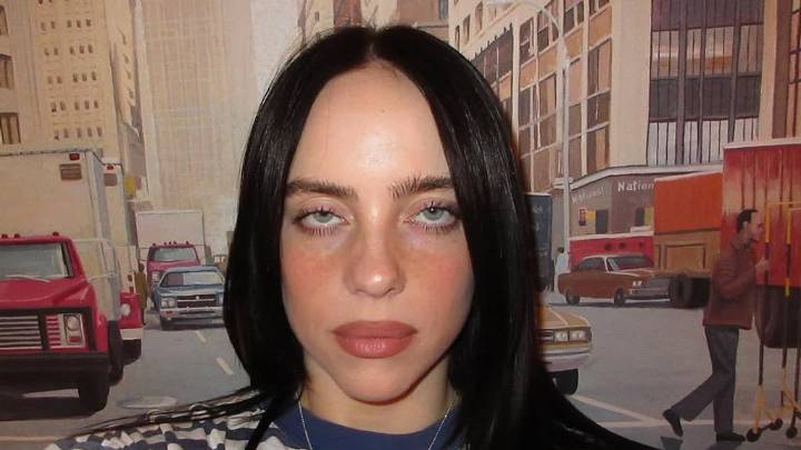 Billie Eilish blasts 'pathetic' Elon Musk in expletive