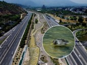 El Mapocho ya no es el mismo: vuelve la fauna y las autoridades revelan el próximo gran paso