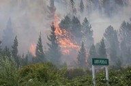 Chubut: incendio forestal en Epuyén arrasó al menos 200 hectáreas en el noroeste de la provincia