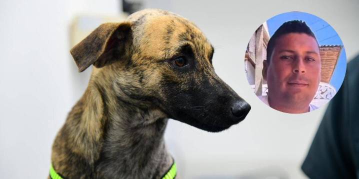 Justicia en caso de maltrato animal que indignó a Antioquia: agresor aceptó los cargos