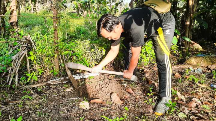 What Type Of Nest Is In Your Yard: 8 Ways To Identify Common Pests