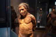 Un niño de 140.000 años reabre el debate sobre los orígenes humanos