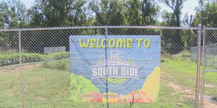 Cape Girardeau community garden to receive funding from Mo. Dept. of Ag. grant program