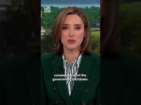 Americans are increasingly voicing concern about shutdown's impact on U.S. economy #shorts