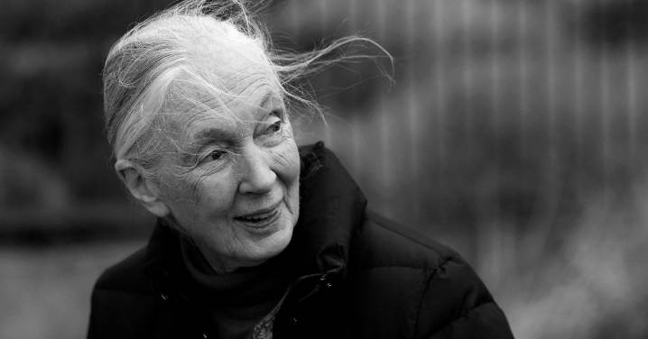 Jane Goodall’s Life and Legacy Remembered