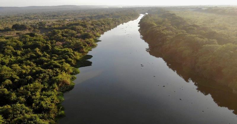 COP30 in Brazil: The Amazon Nears the Brink of Irreversible Damage