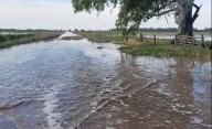 Lluvias en la Provincia: crece el drama y la preocupación ante millones de hectáreas afectadas