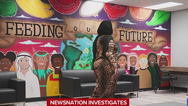 Minnesota taxpayers funding Somali terror group al