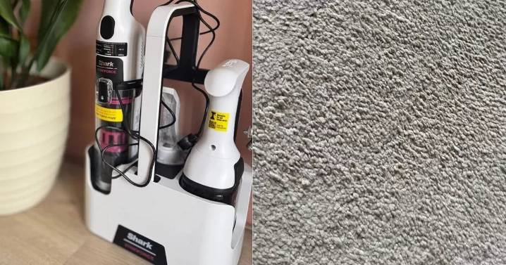 'We put the Shark Stainforce to the test - stubborn stains were no match for it'