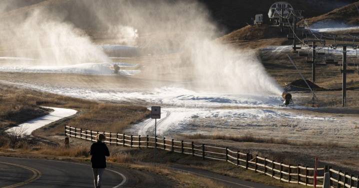 Whales On The Mountain