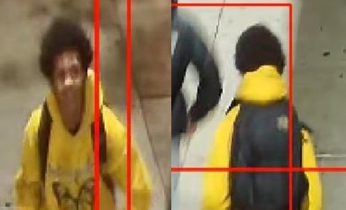 Teenager sought for slugging on-duty MTA bus driver during argument in Glendale: NYPD