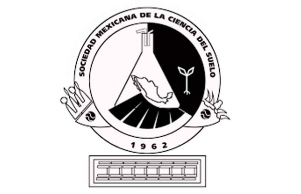 ‘No soñé con el éxito, trabajé para ello’